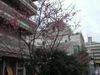 Cimh2968b_tna